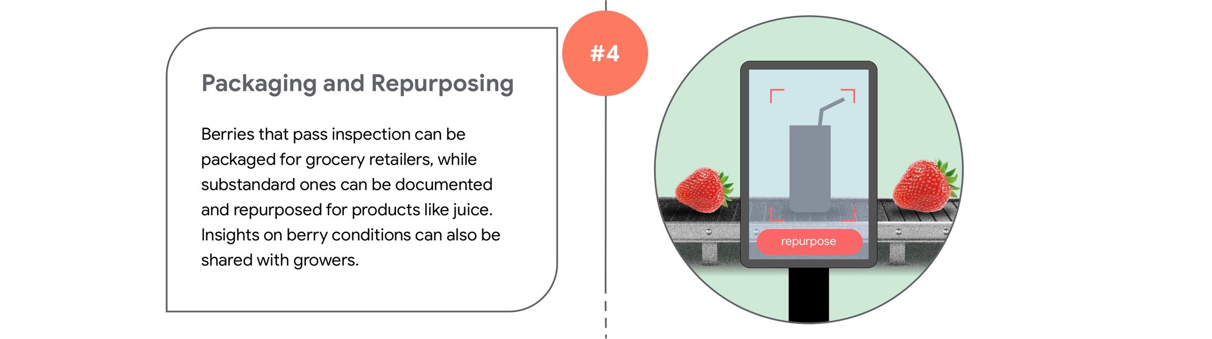 Packaging and Repurposing  Berries that pass inspection can be packaged for grocery retailers, while substandard ones can be documented and repurposed for products like juice. Insights on berry conditions can also be shared with growers.