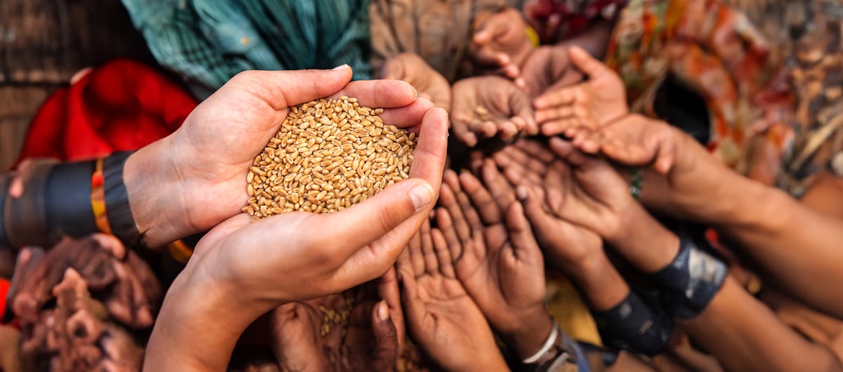 Winds of Change: The Evolution of Philanthropy in Indian Diaspora Family Offices