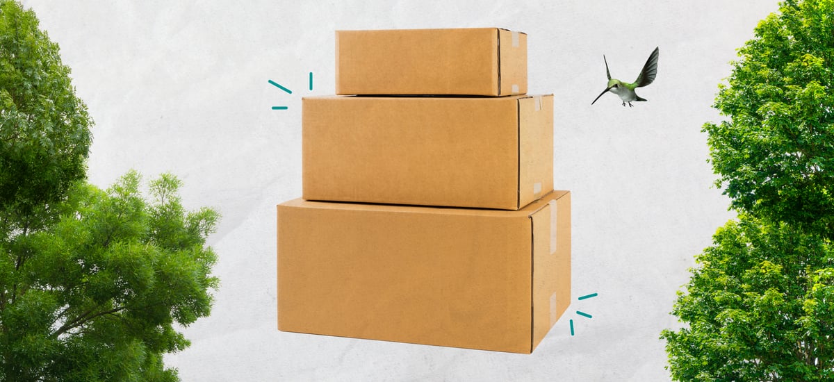 Paper and Cardboard: Delivering a More Sustainable Tomorrow