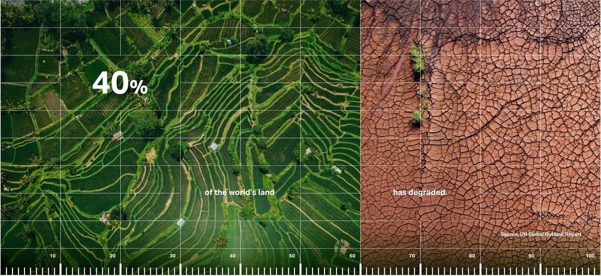The $44 Trillion Risk Degrading Our Earth:  Land Restoration Takes COP16 Spotlight
