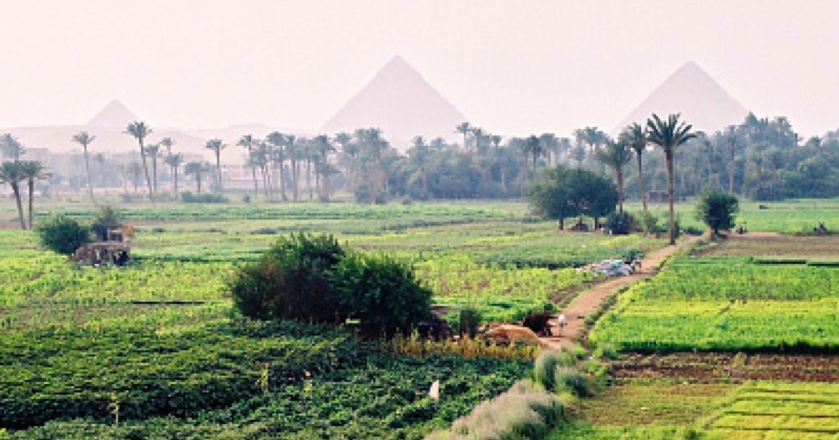 Egypt’s Sustainable Agricultural Transformation Leverages Cutting-Edge ...