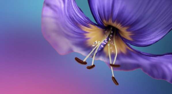 Networks Boosting image