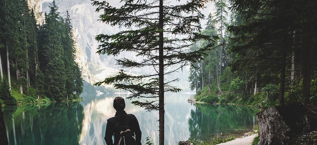 The Green Transition by Europe's Leading Utility Creates Value for All