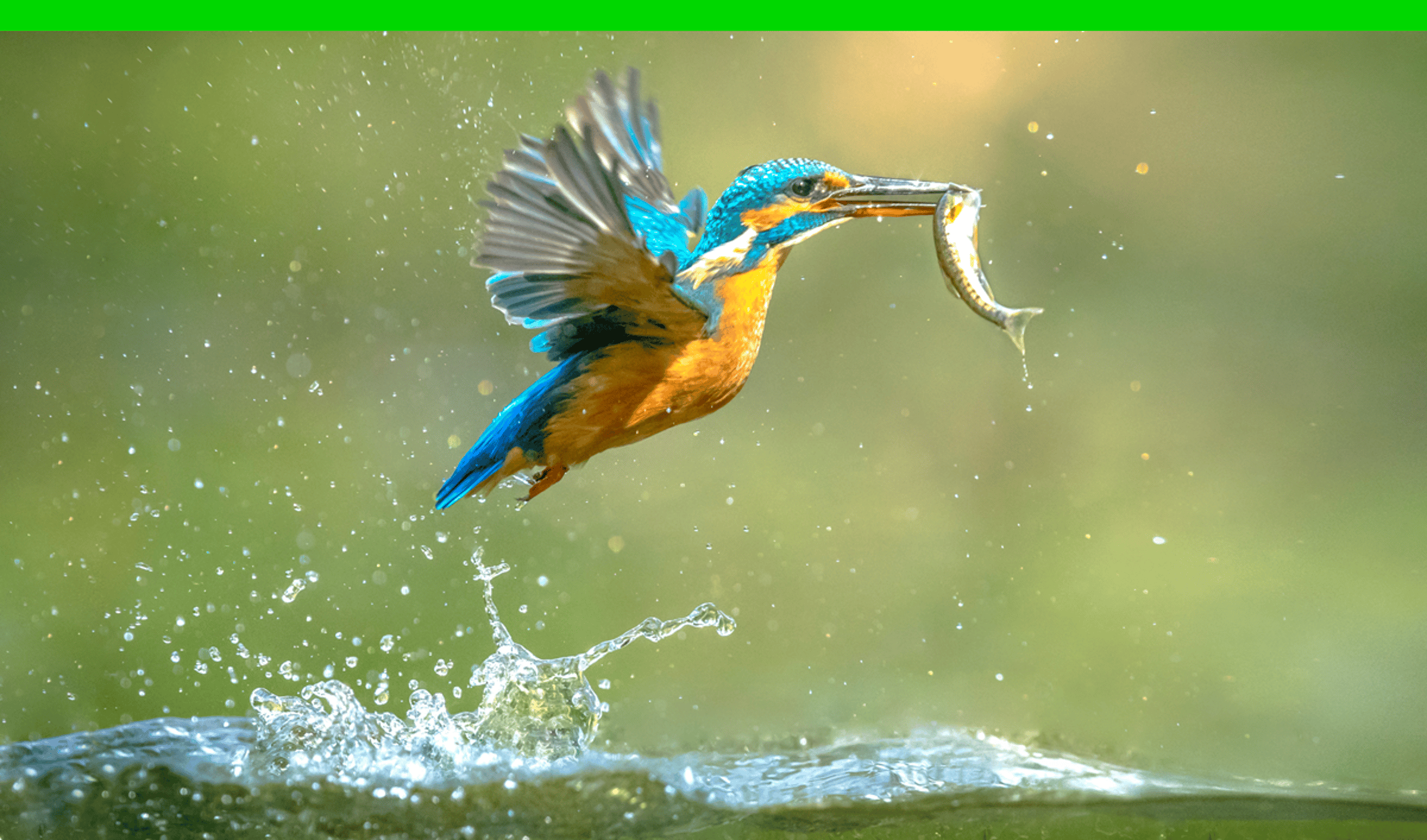 You Can’t Pick a Winner but Here’s What You Can Do