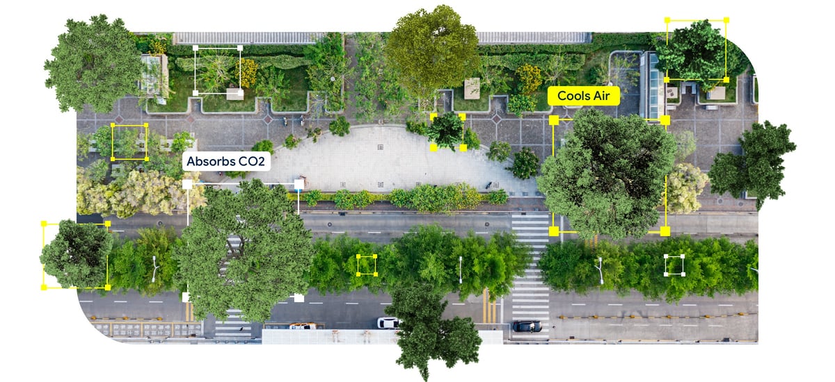 Can AI Help Cool the World’s Hottest Cities?