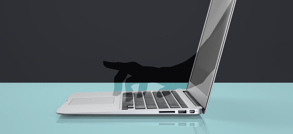 How to Protect Yourself From Cybercrime