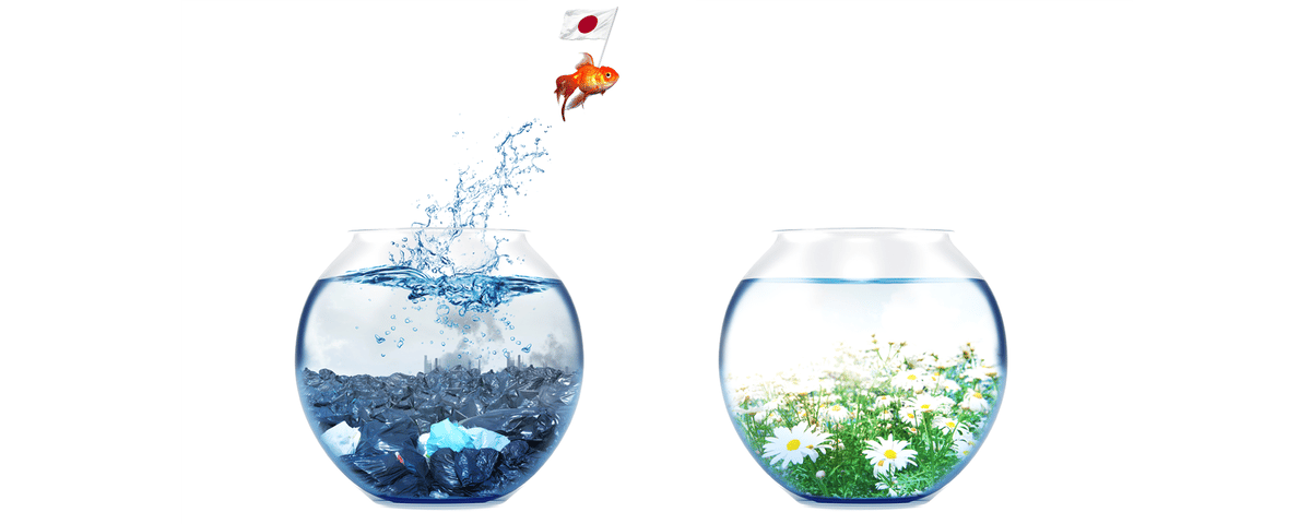 Walk the Talk to Green: Finance, Innovation, and Sustainability from Japan