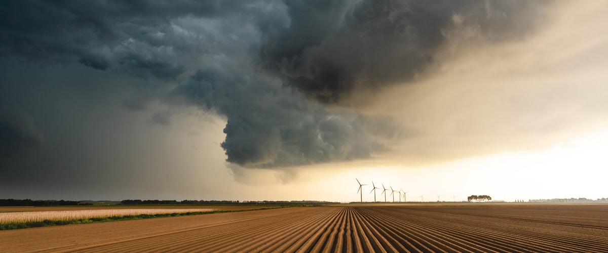 Financing the Net Zero Transition