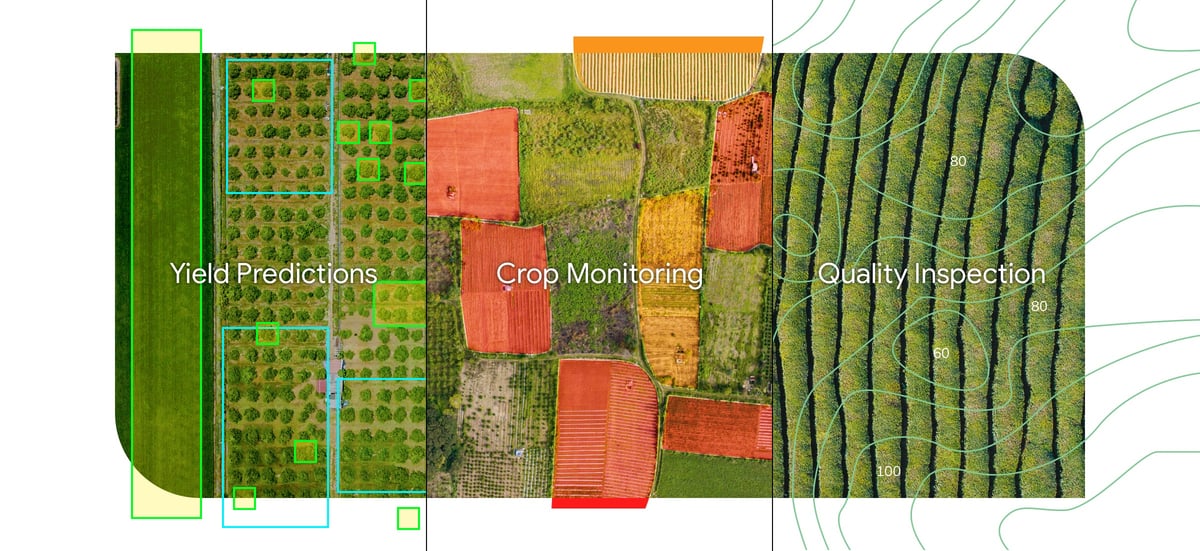 AI’s Role in Boosting Crop Productivity