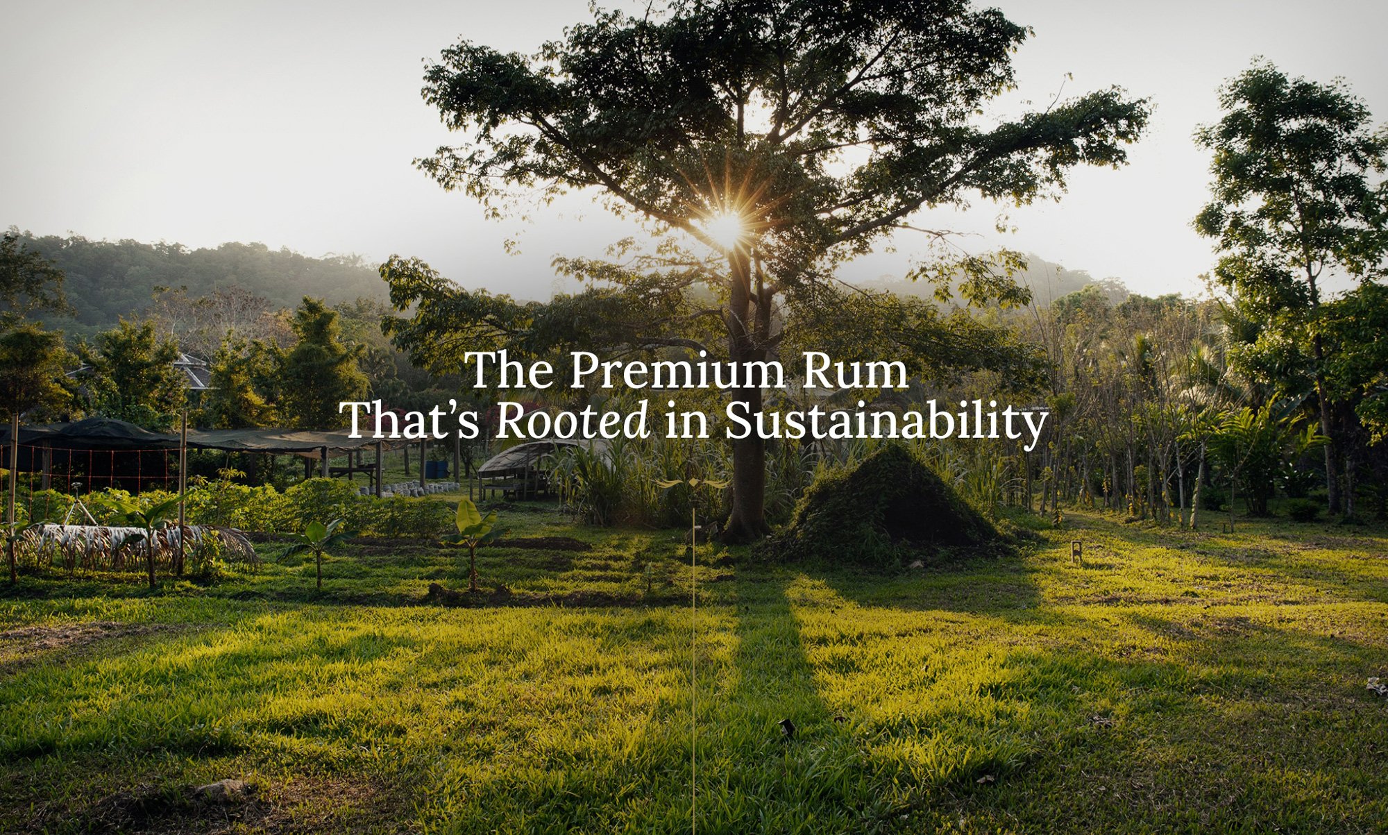 The Premium Rum That’s Rooted in Sustainability
