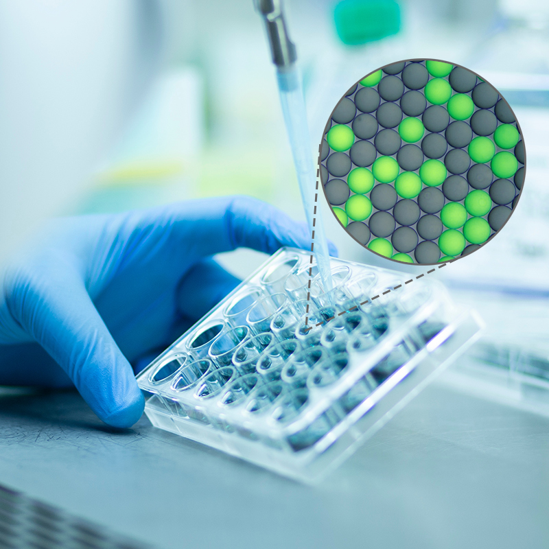 Japan Where Innovation is Borderless