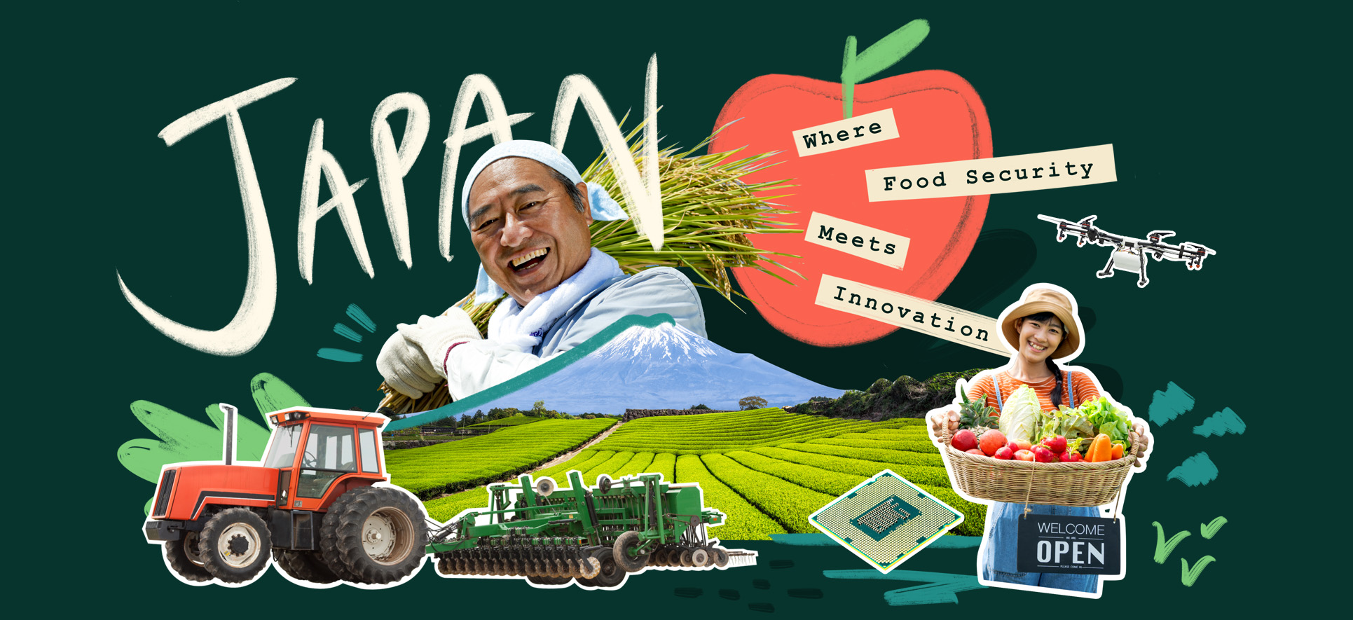 major agriculture in japan