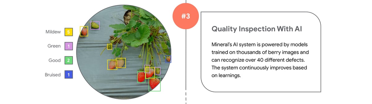 Quality Inspection With AI  Mineral’s AI system is powered by models trained on thousands of berry images and can recognize over 40 different defects. The system continuously improves based on learnings.