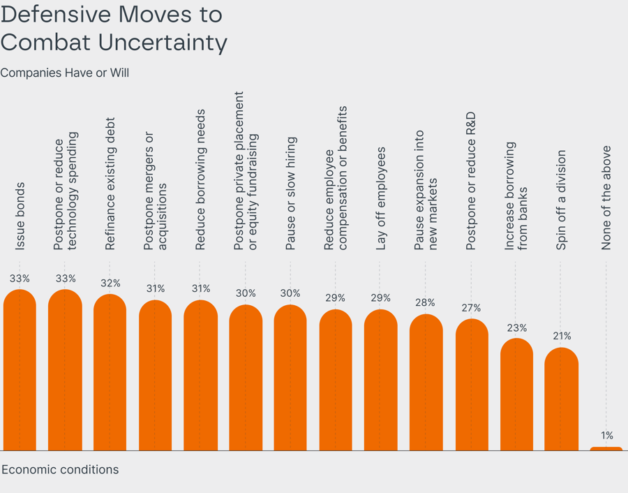 Defensive Moves to Combat Uncertainty: Issue bonds 33%