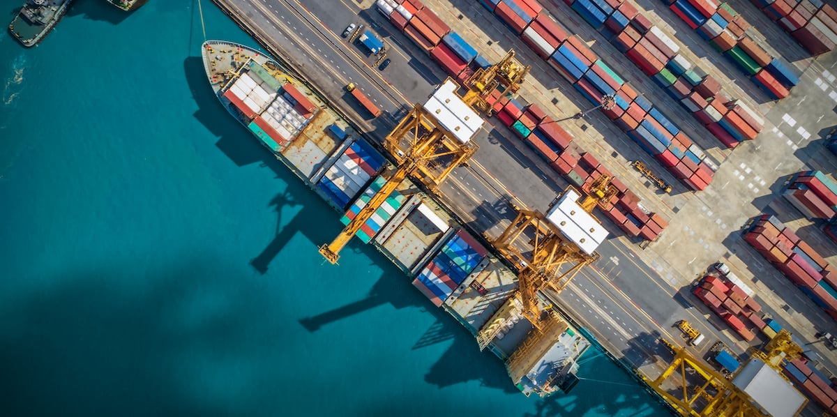 Shining a Light on Provenance: How Supply Chain Data Can Revolutionize Your Sustainability