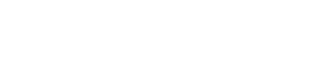 Verizon Business