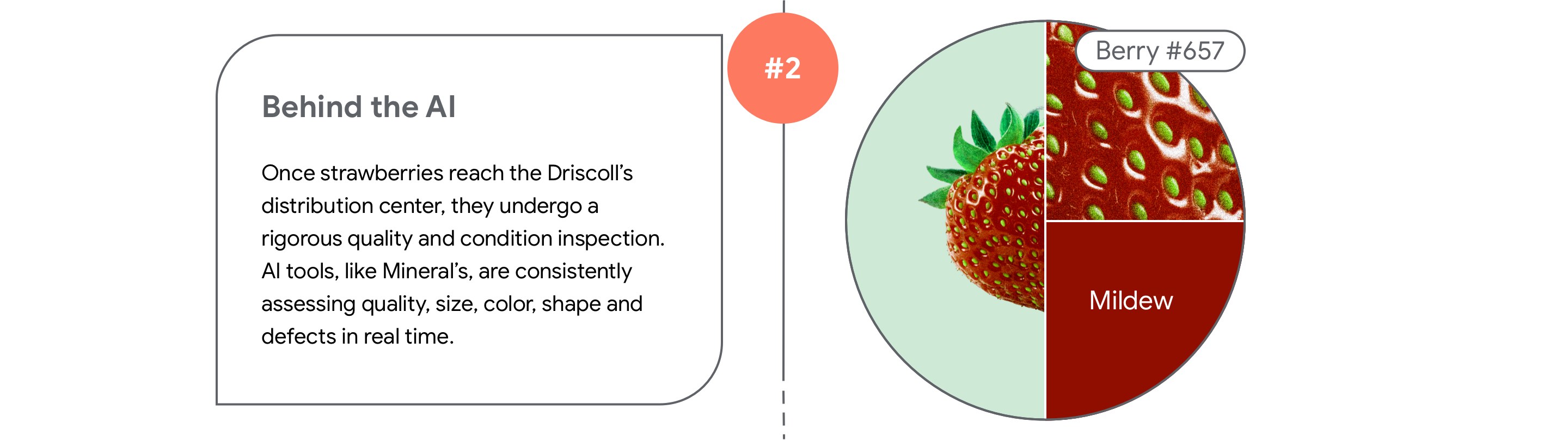 Behind the AI  Once strawberries reach the Driscoll’s distribution center, they undergo a rigorous quality and condition inspection. AI tools, like Mineral’s, are consistently assessing quality, size, color, shape and defects in real time.