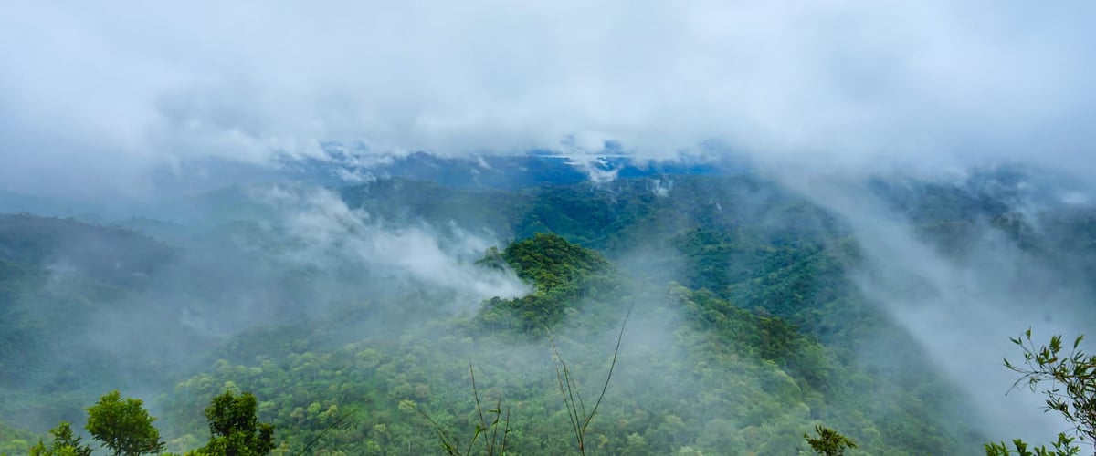 A Renewed Focus on ESG Creates More Demand for Data