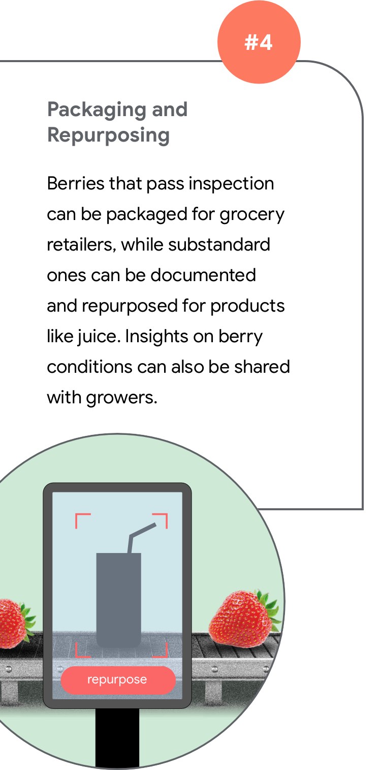 Packaging and Repurposing  Berries that pass inspection can be packaged for grocery retailers, while substandard ones can be documented and repurposed for products like juice. Insights on berry conditions can also be shared with growers.