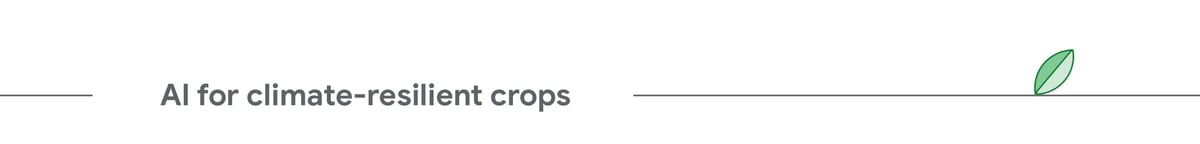 AI for climate-resilient crops