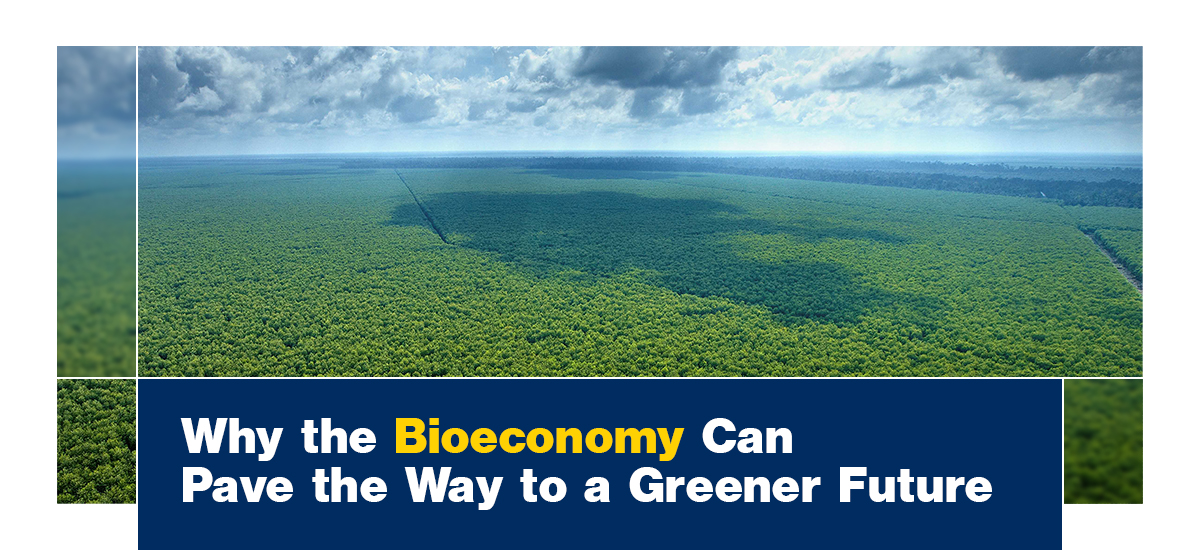 Why the Bioeconomy Can Pave the Way to a Greener Future
