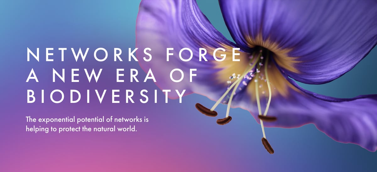Networks Forge a New Era of Biodiversity