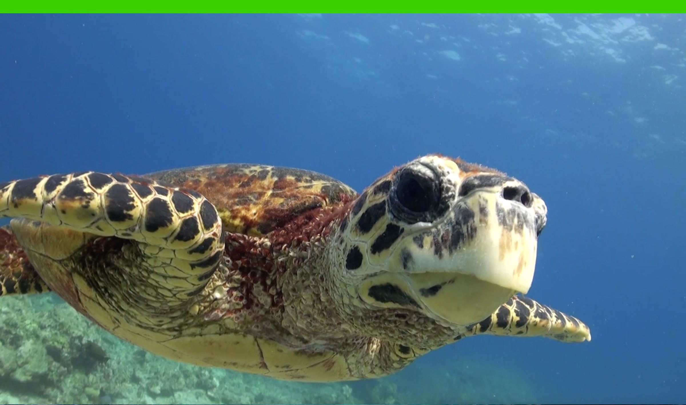 How Asking the Right Questions Can Protect You from Greenwashing