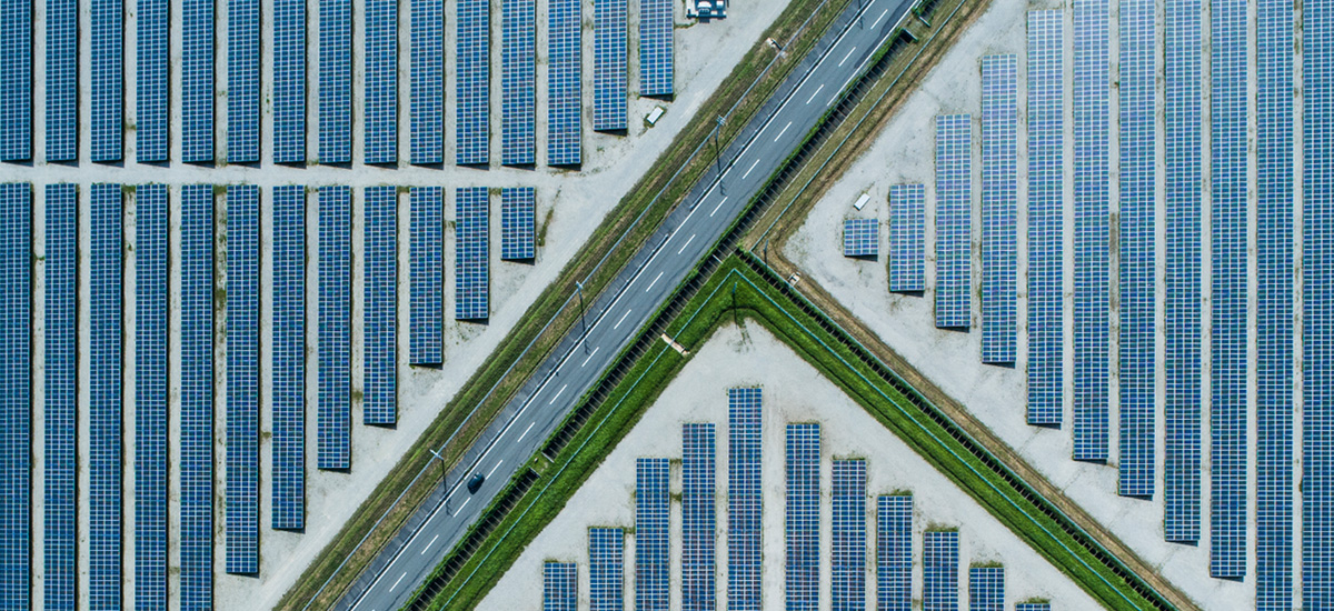 How Asian Companies Can Take Part In The Green Start-Up Boom