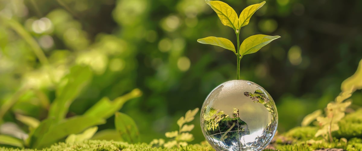 Why People, Not Compliance, Will Set the Course for the Future of ESG and Responsible Business