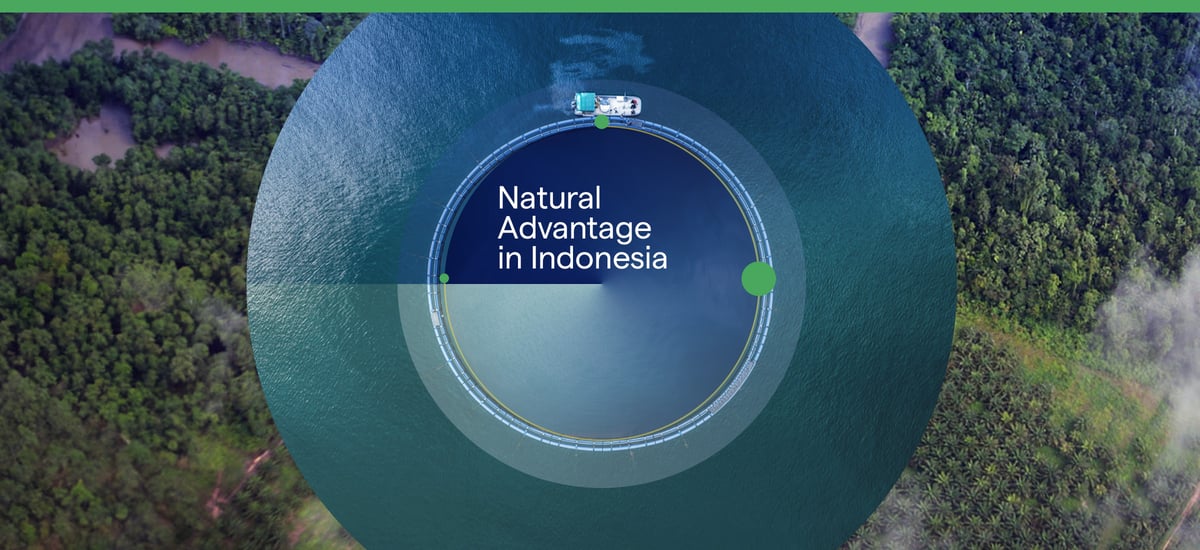 Natural Advantages: Investing in Indonesia’s Growing Potential