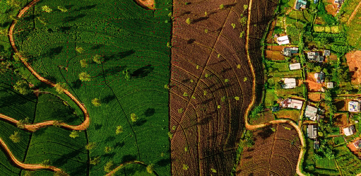 Sustainability Transformation: Business Opportunities Can Outweigh Costs