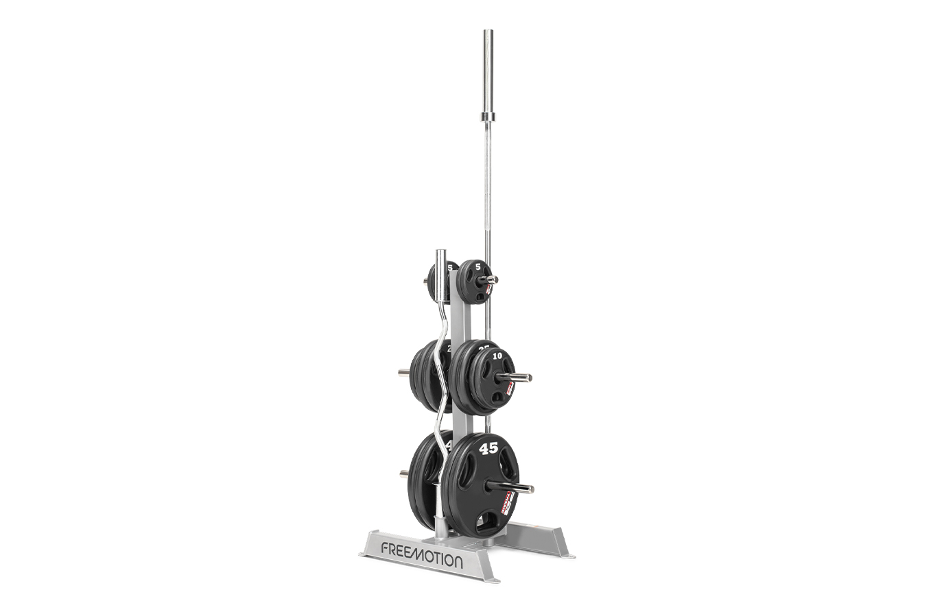 EF219-Organized Weight Storage