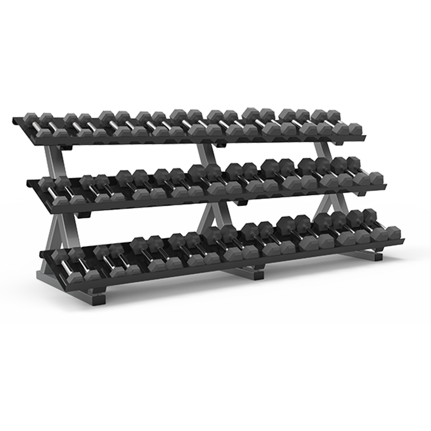 Flat_Dumbbell_Rack_509081_FRM