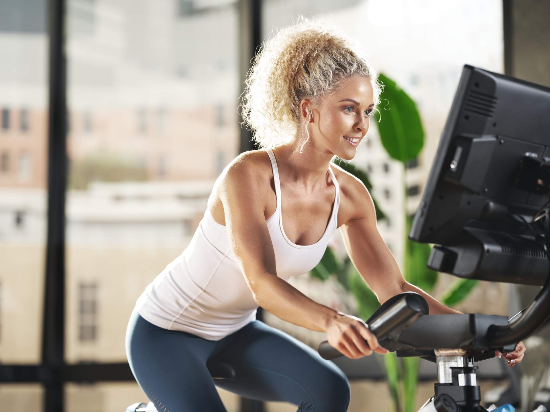 stationary bicycle exercise equipment Elite Smart Upright Bike | Sunny Health & Fitness duty flywheel b24 CoachBike | Indoor Bikes