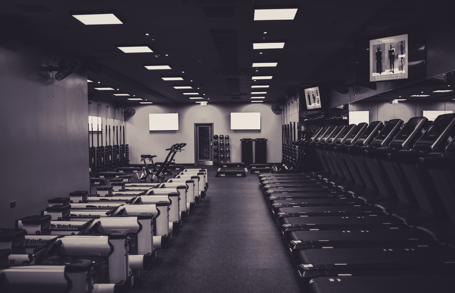 Freemotion Fitness Equipment for Boutique Studios_Orangetheory Fitness-4
