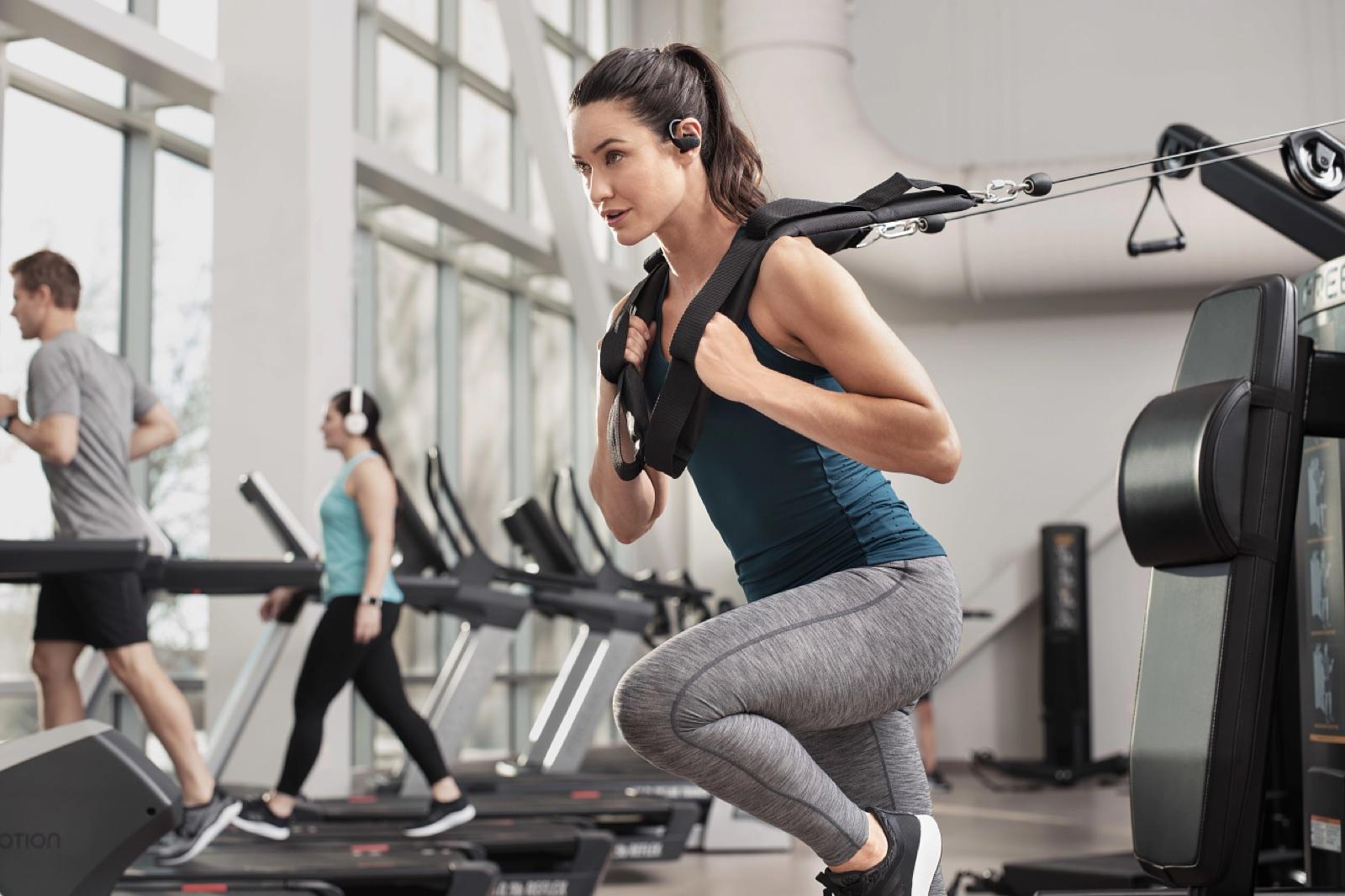 Freemotion GENESIS DS strength equipment