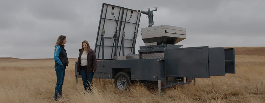 females-in-field.jpg