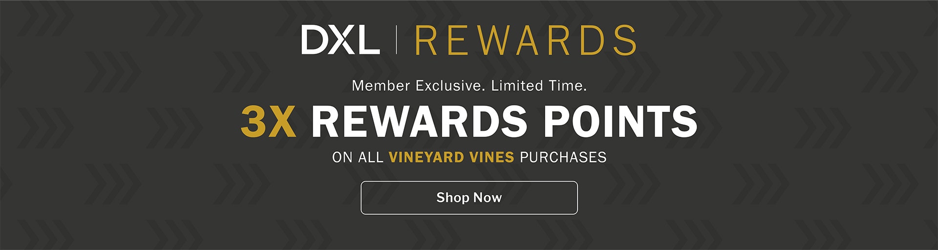 DXL Rewards | Member Exclusive. Limited Time. | 3X REWARDS POINTS | ON ALL VINEYARD VINES PURCHASES | Shop Now
