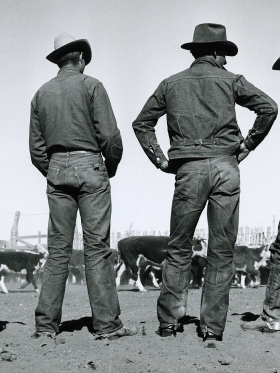 cowboys in levis