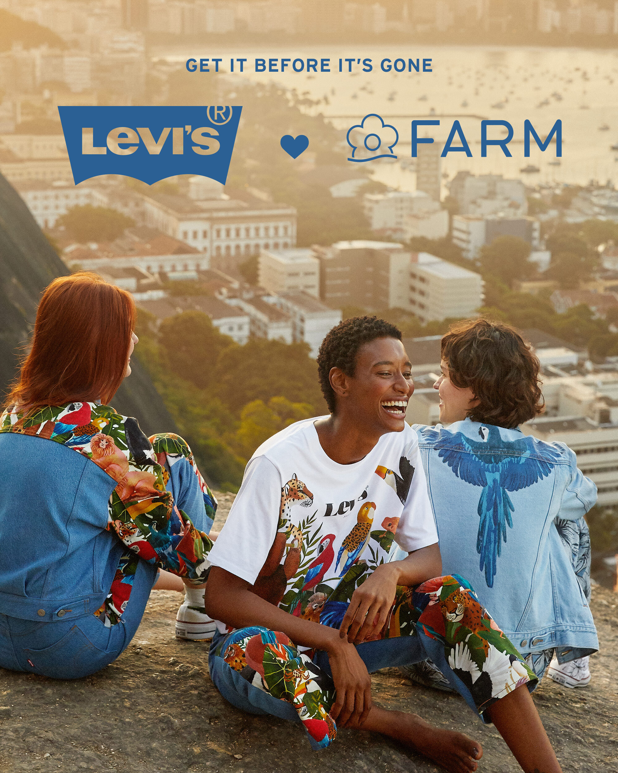 farm rio levis