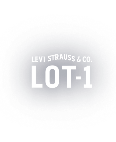 levis lot 1 price
