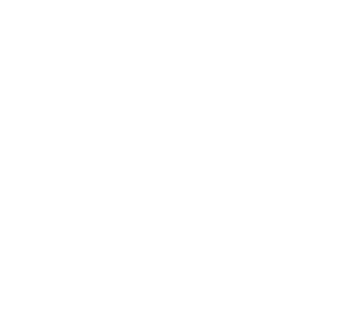 Our Accounting Services for New Orleans Small Businesses