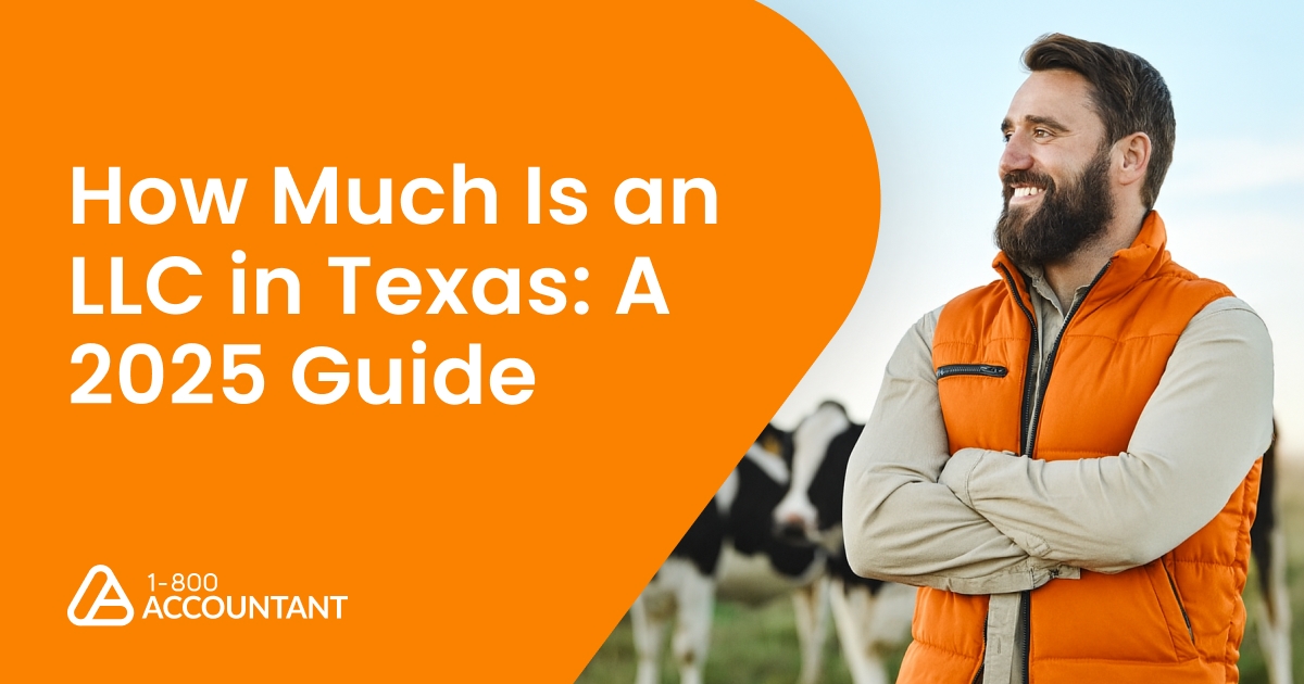 How Much Is an LLC in Texas: A 2025 Guide
