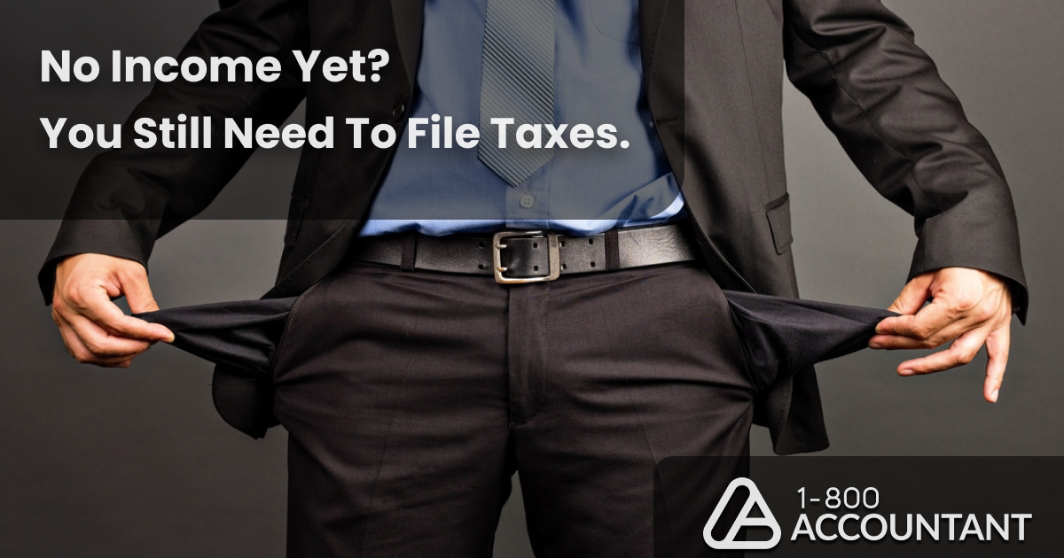 How to File Taxes for Small Businesses with No Income