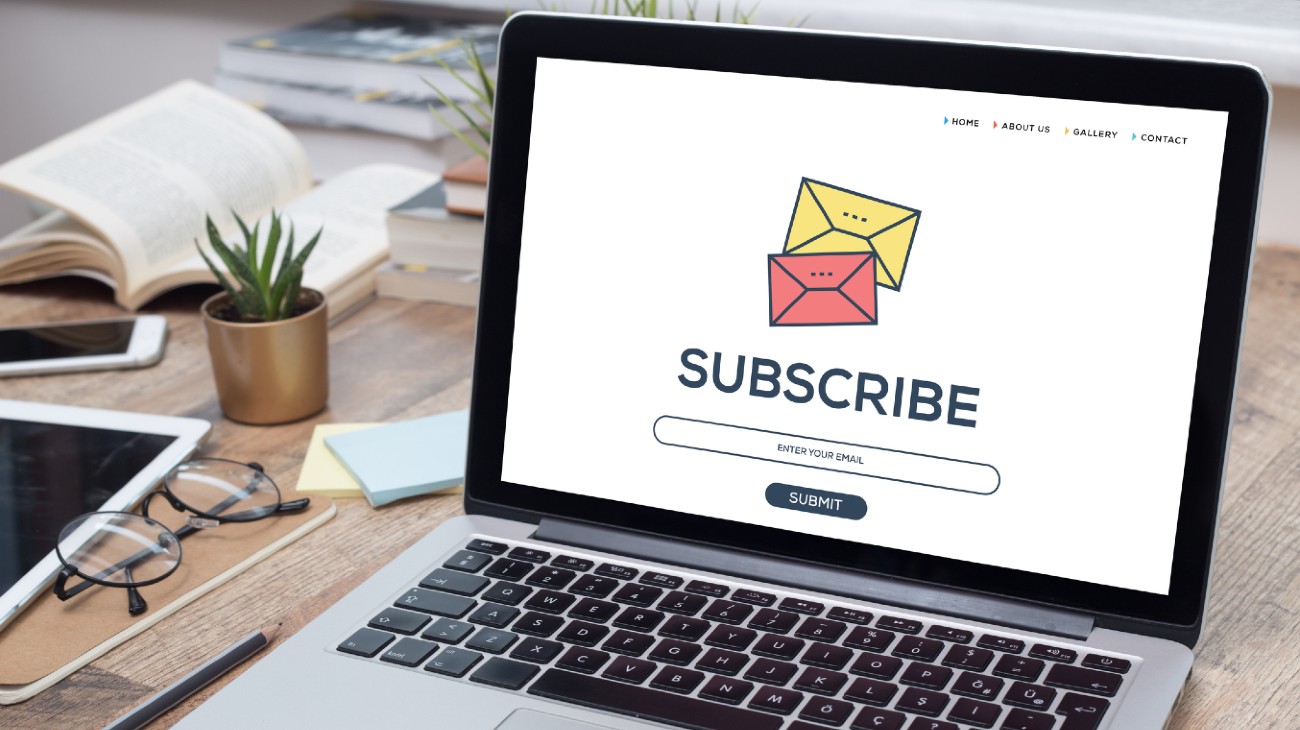 subscribe form for newsletter