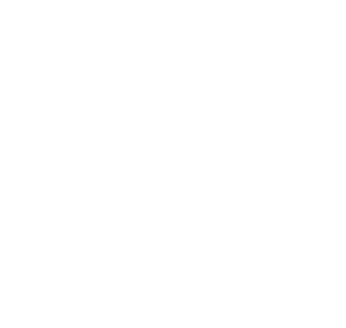 Our Accounting Services for South Carolina Small Businesses