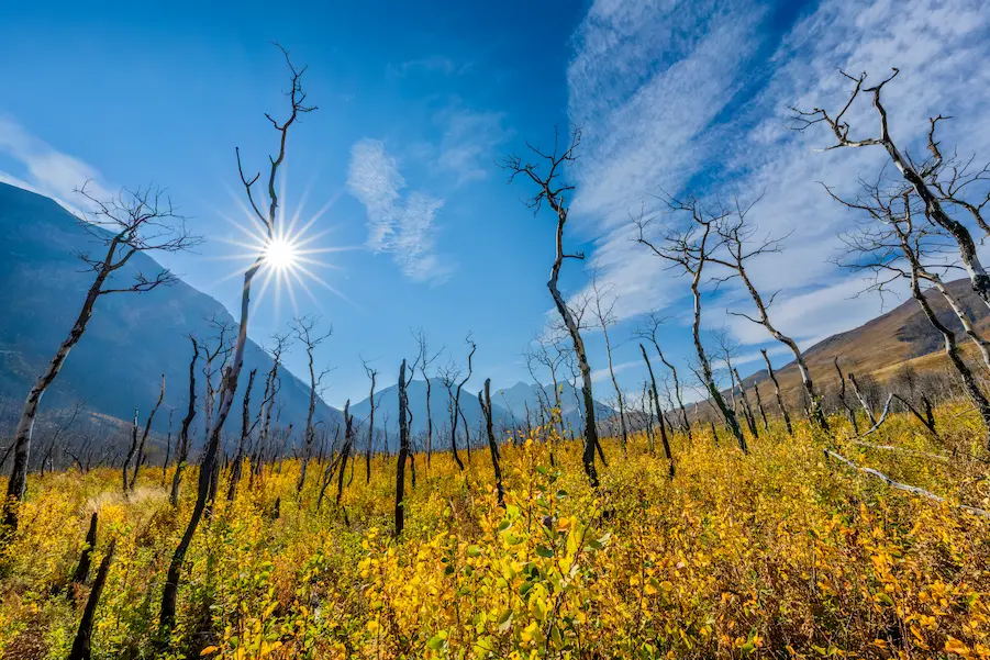 Sustentabilidad - Gestión del cambio climático y del riesgo socioambiental -