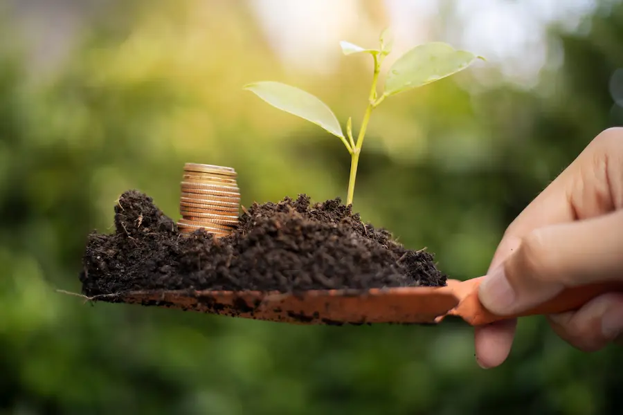 Sustentabilidad - Bonos sostenibles -