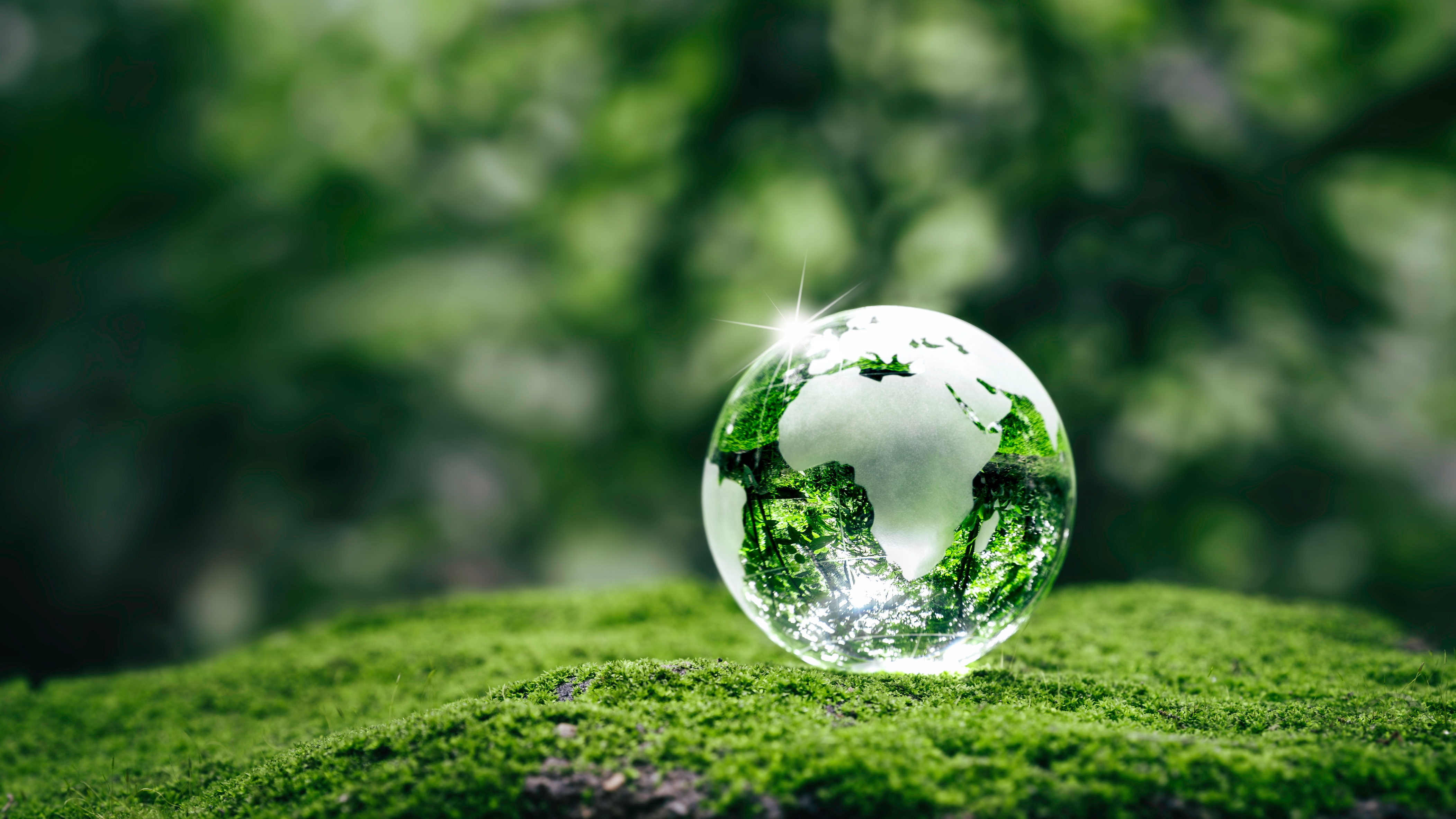 Sustentabilidad - Bonos sostenibles -