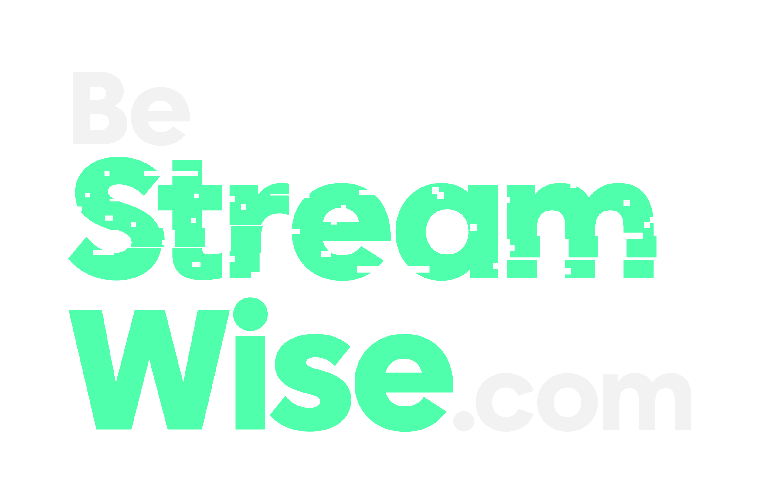 BeStreamWise Homepage